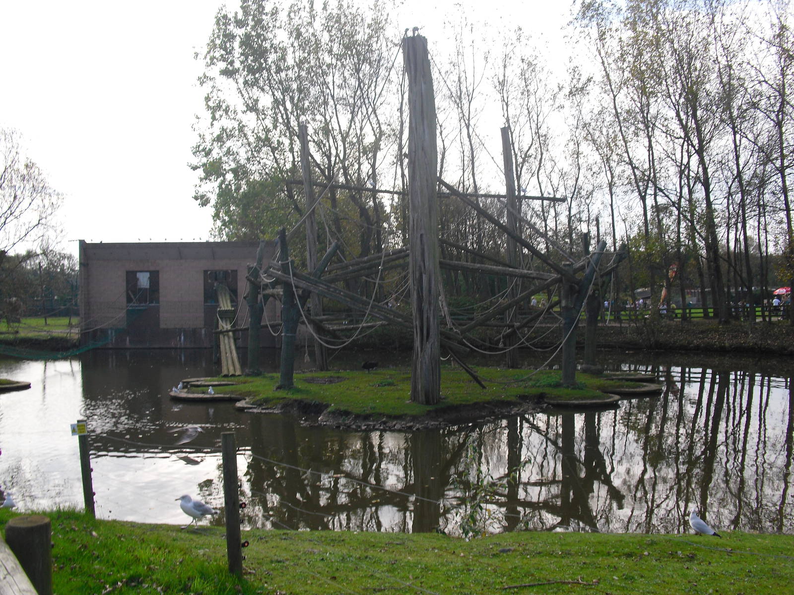 Monkey Island - 01/10/2011