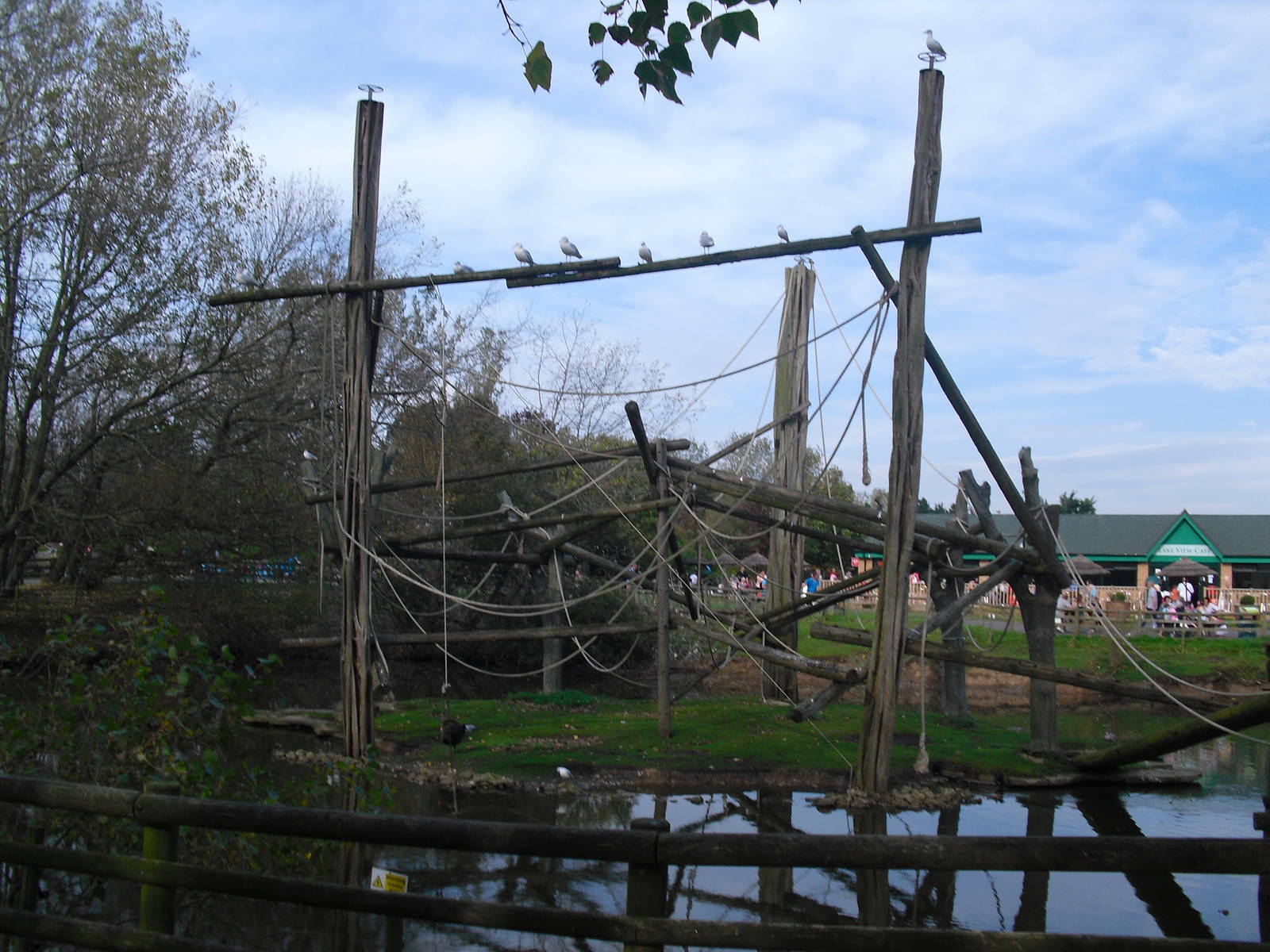 Monkey Island - 01/10/2011