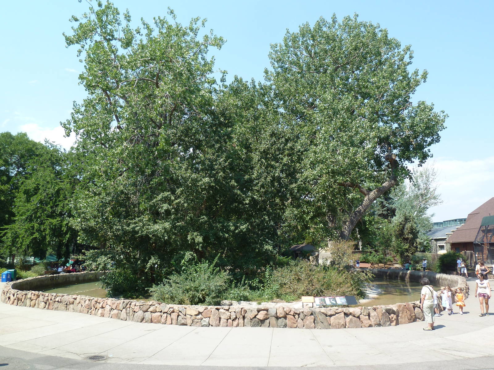 Monkey Island - Hooded Capuchin Monkey/Crested Screamer/Pelican Exhibit