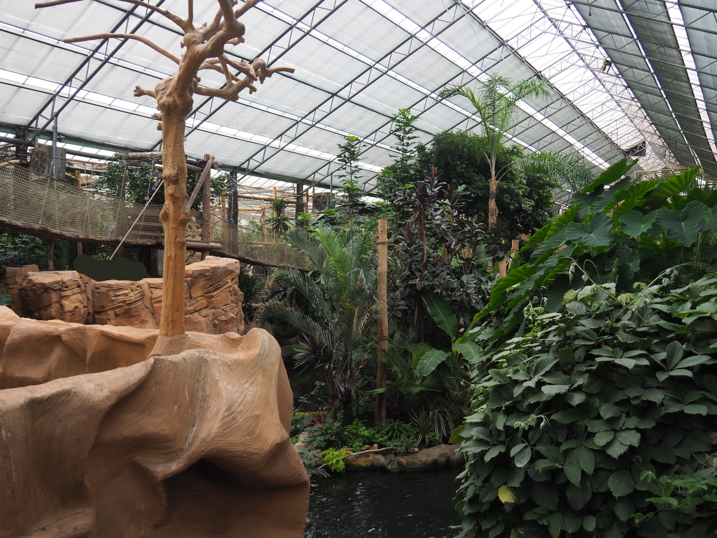 Monkey island in the Oasis, 2020-09-03