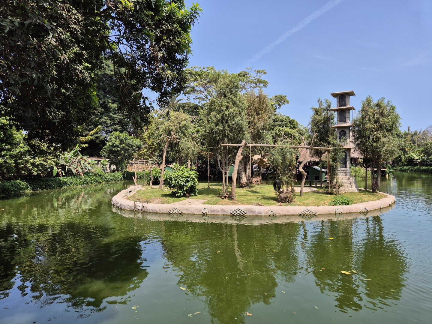 Monkey Island,  Zona Selva