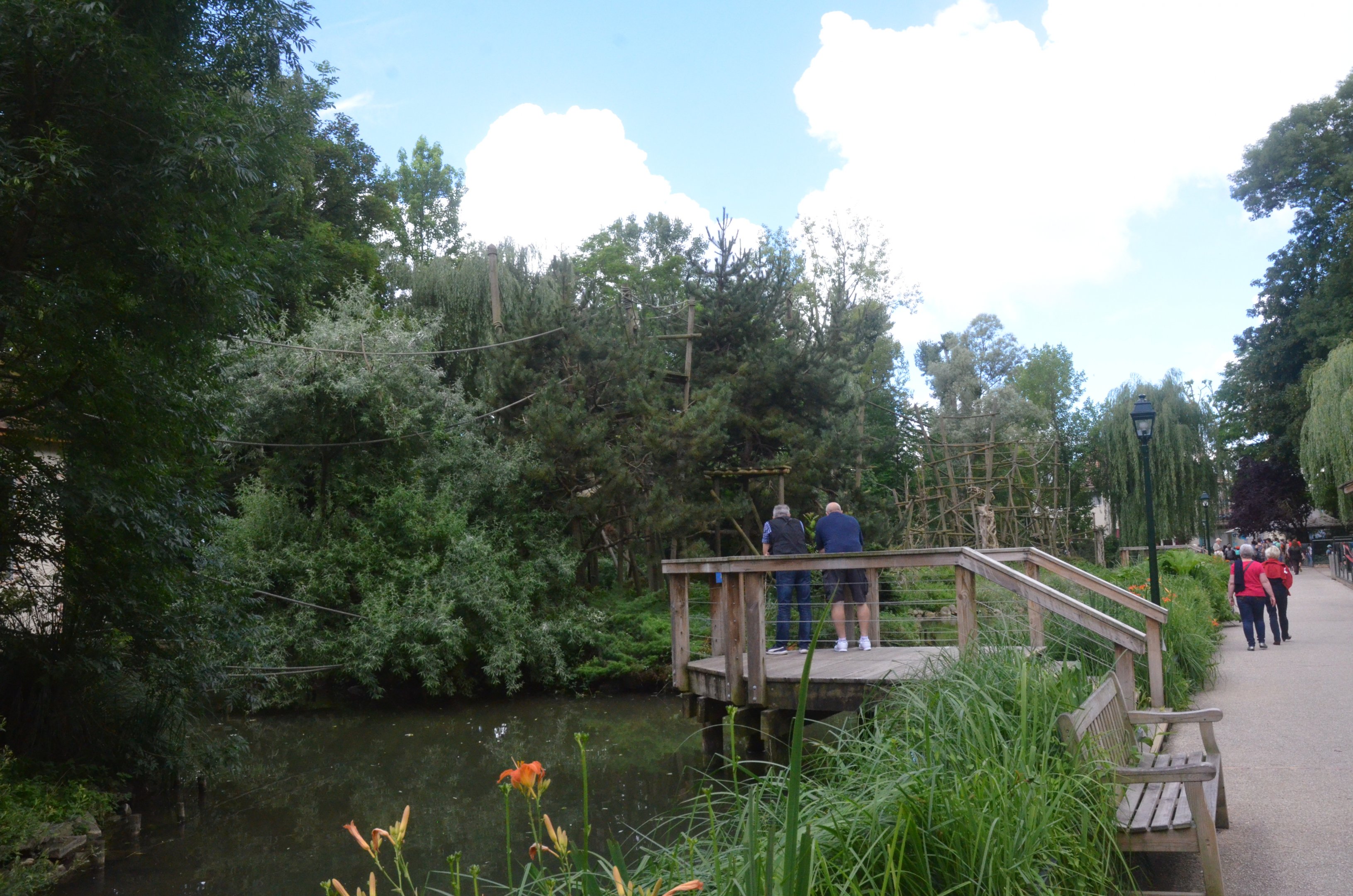 Monkey Islands at Beauval, 12/06/18