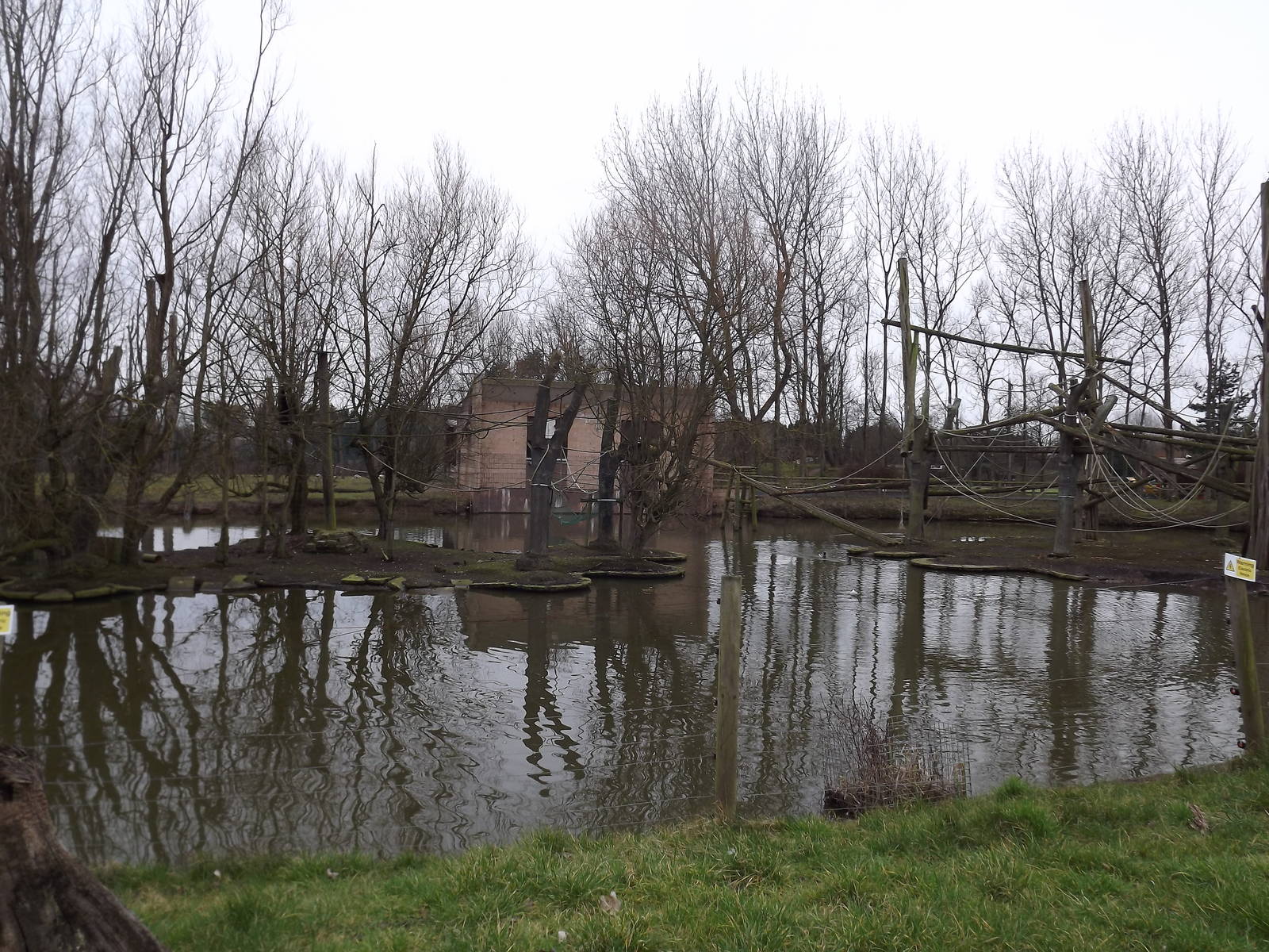 Monkey Islands at Blackpool Zoo 26/02/12
