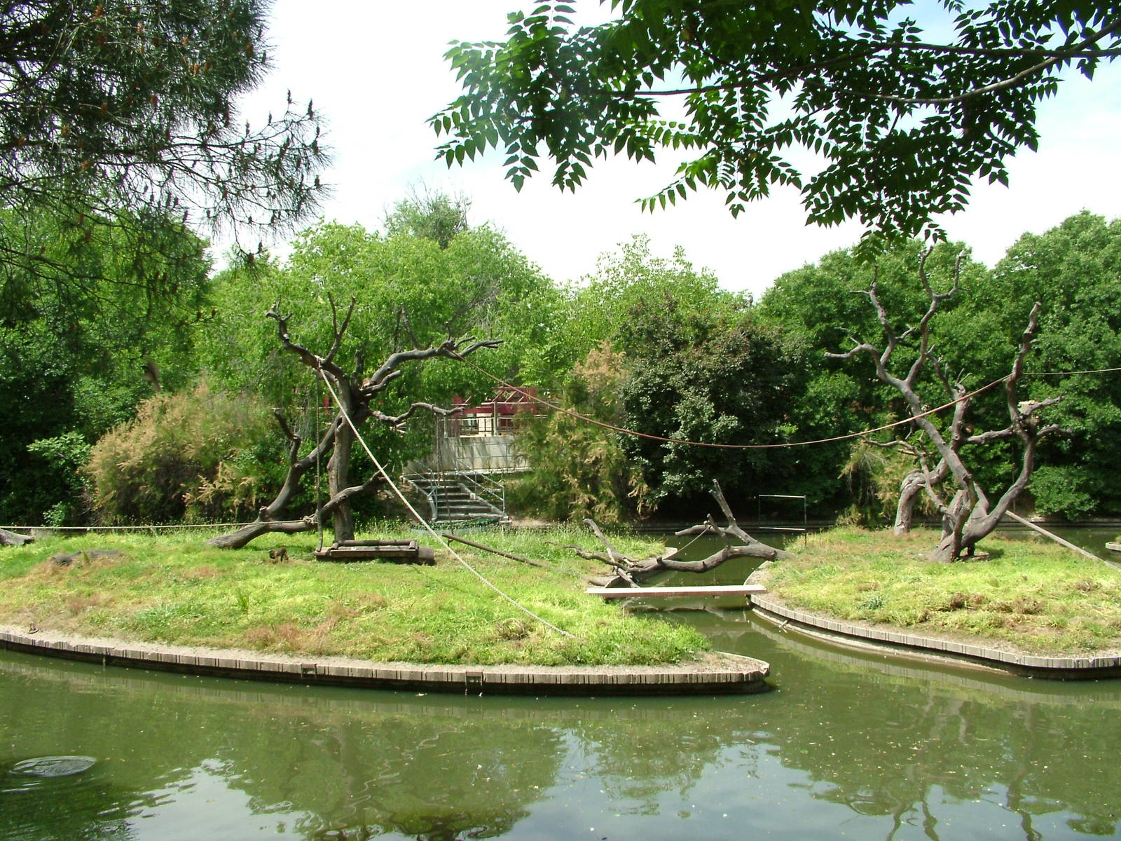 Monkey Islands at Madrid Zoo Aquarium, 26/05/11