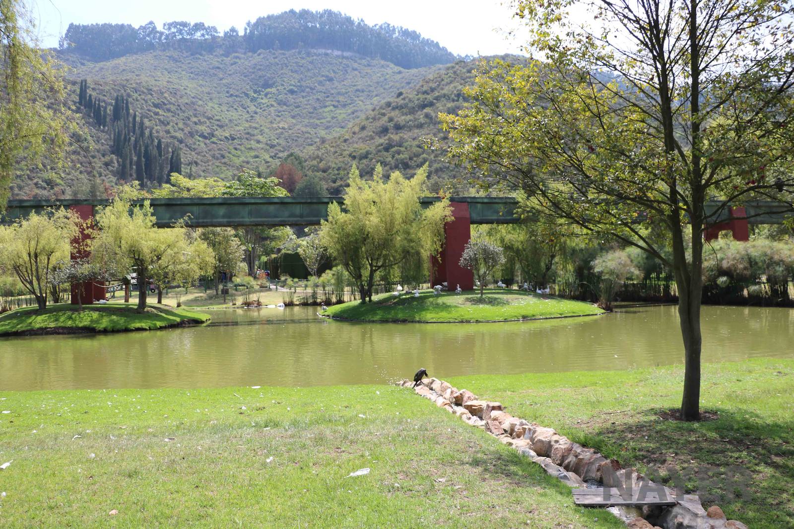 Monkey islands, March 2016