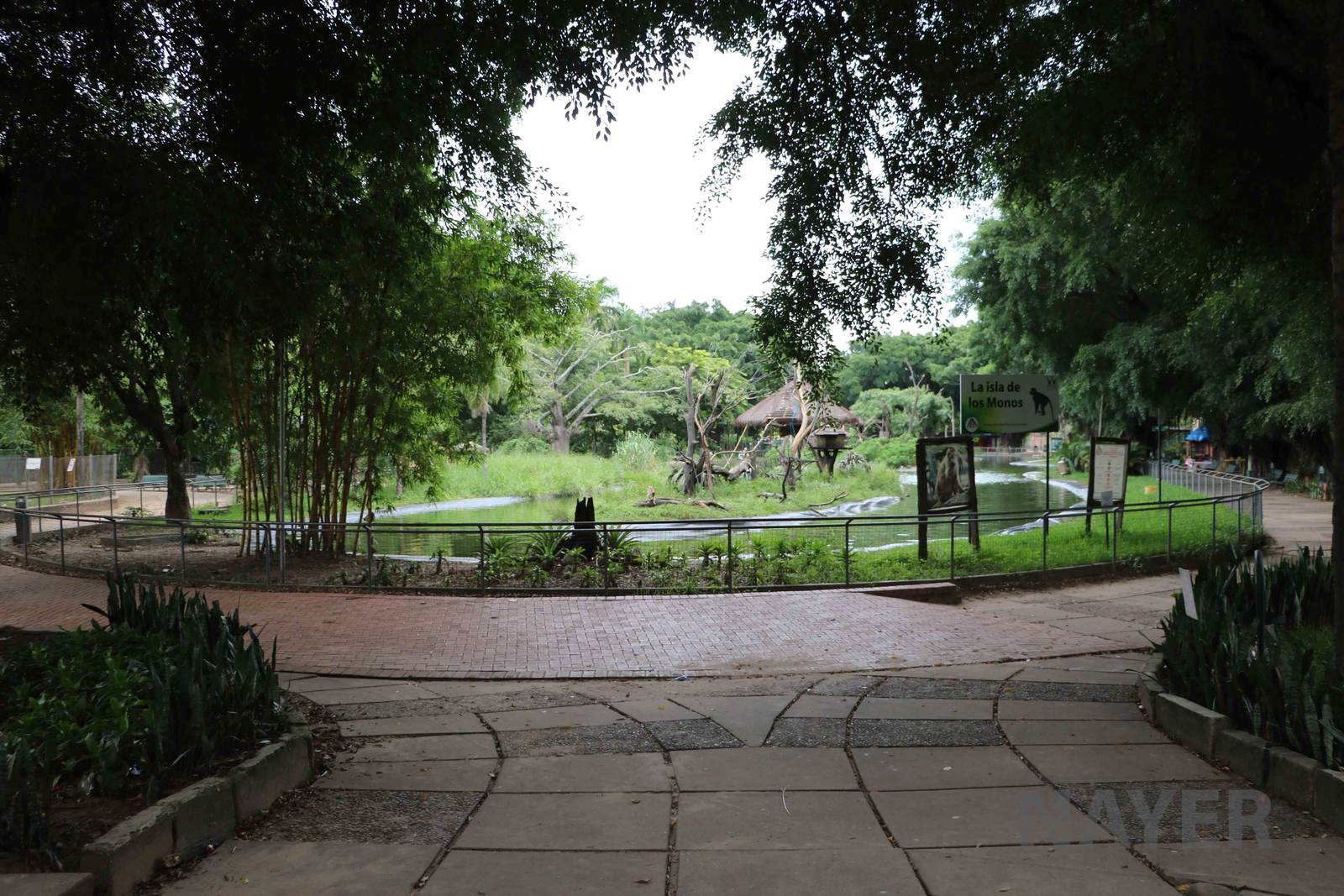 Monkey islands, March 2016