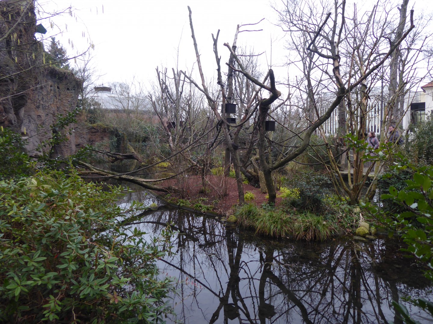 Monkey Islands near entrance 280118