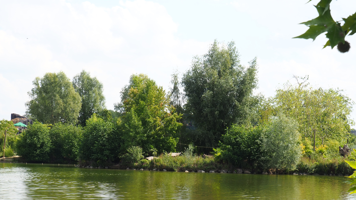 Monkey islands next to the Mersus Emergo, 2020-09-02