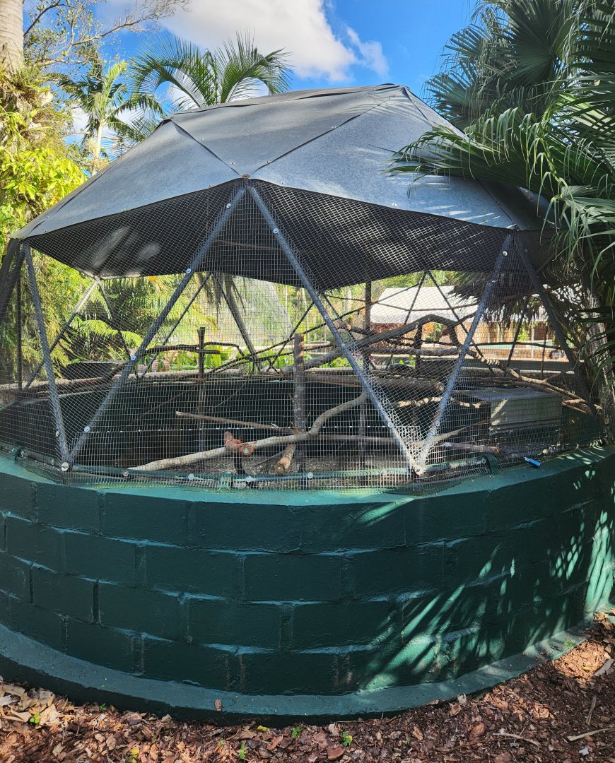 Monkey Jungle - Parrot aviary