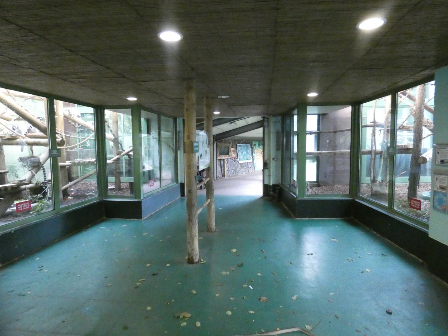 Monkey Jungle viewing area