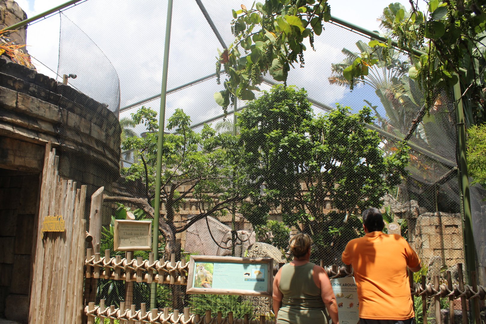 Monkey Mania - Squirrel Monkey Exhibit