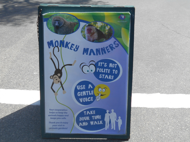 Monkey manners interpretive