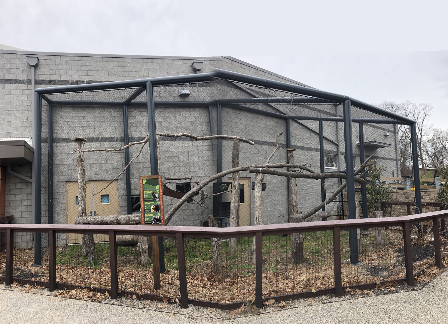 Monkey Outdoor Enclosure - Feb, 2020