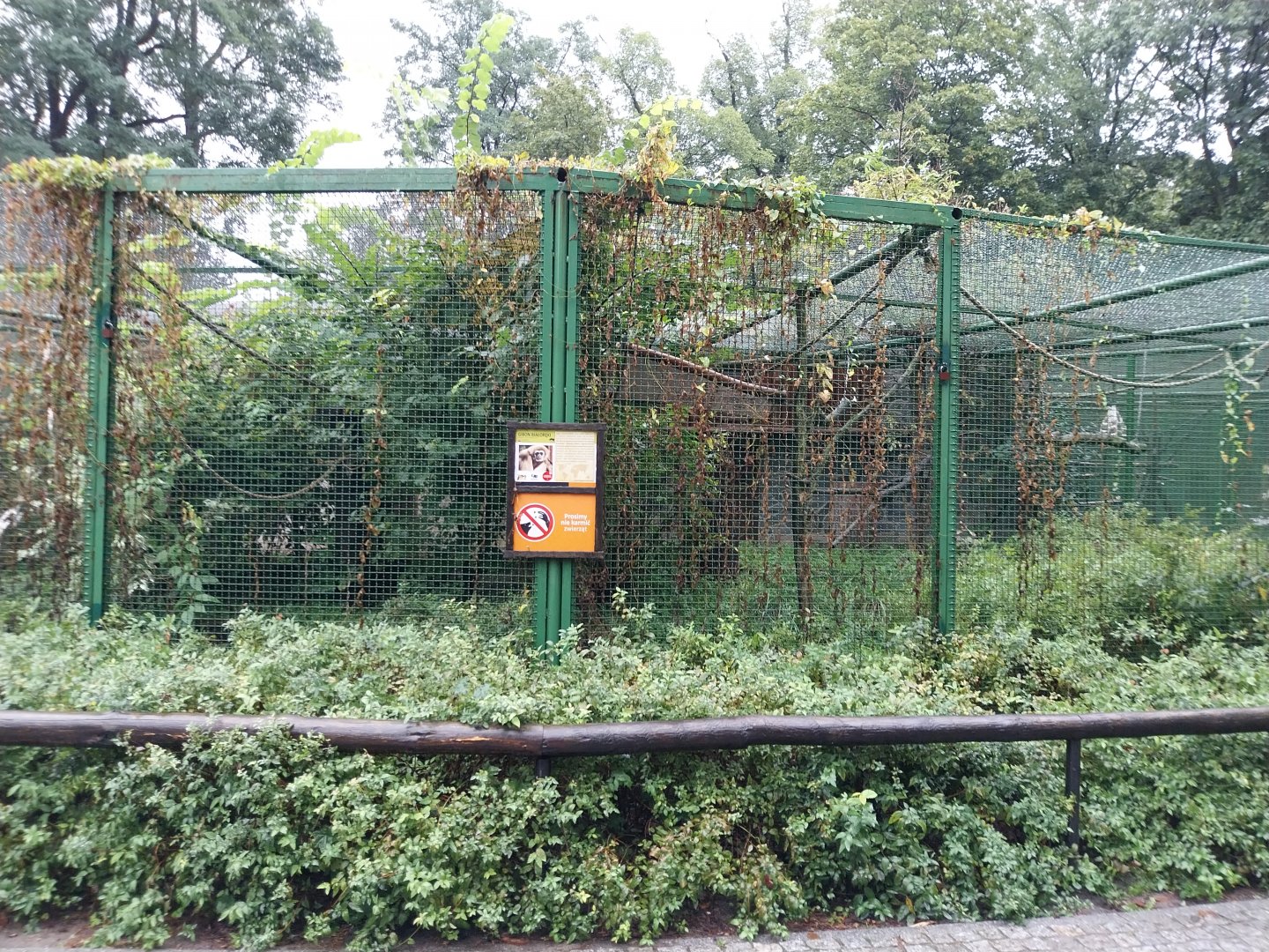 Monkey Rotunda - Lar gibbon enclosure