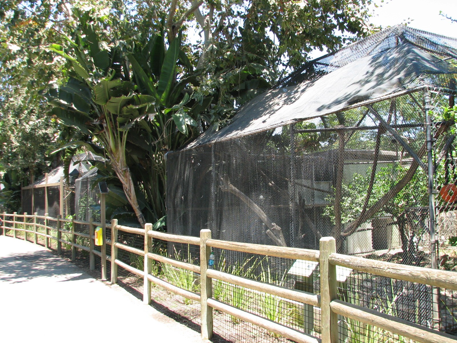 Monkey Row - White-handed Gibbon Exhibit in Foreground