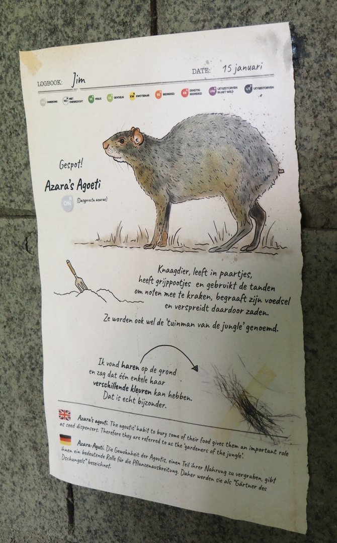 Monkey Ruins exhibit - Azara's agouti signage, 2024-06-23