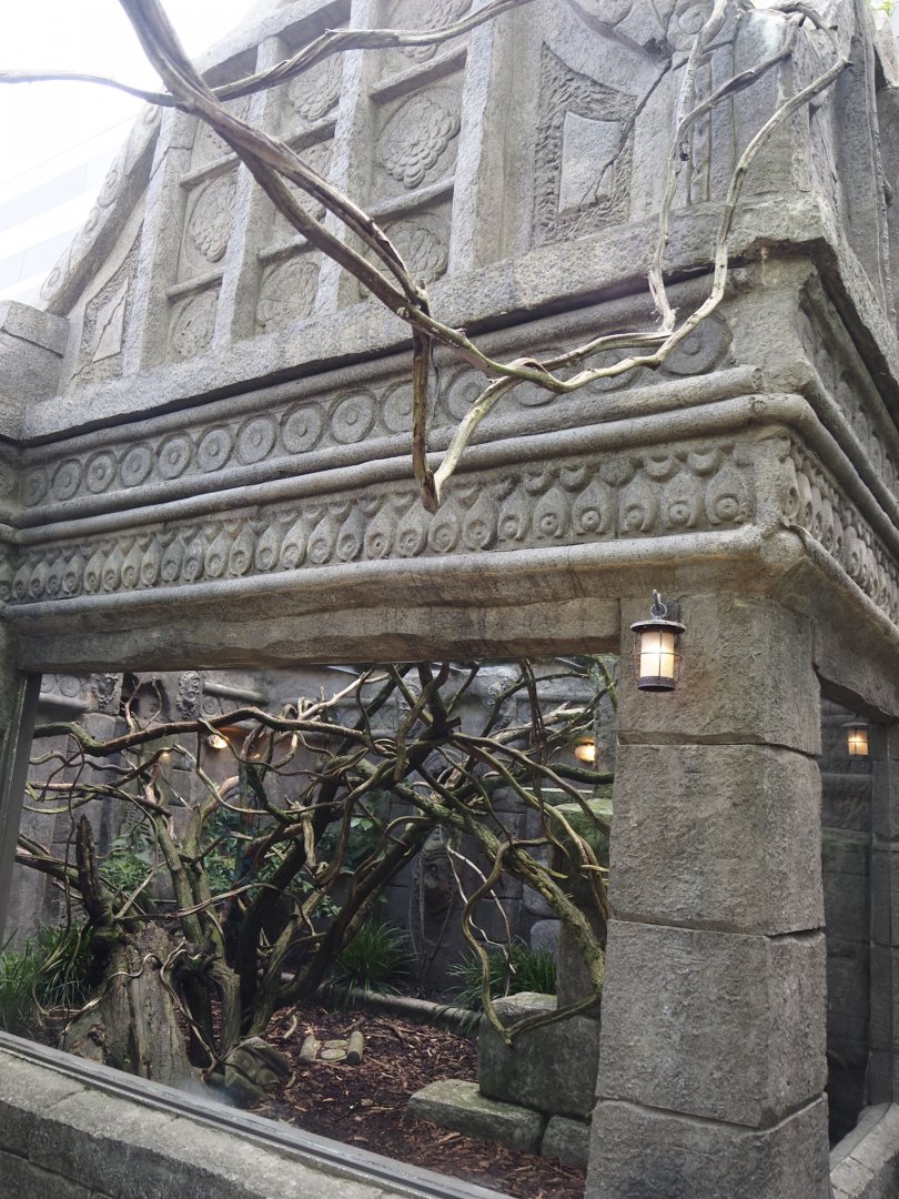 Monkey Ruins exhibit - Separate outdoor exhibit, 2024-06-23