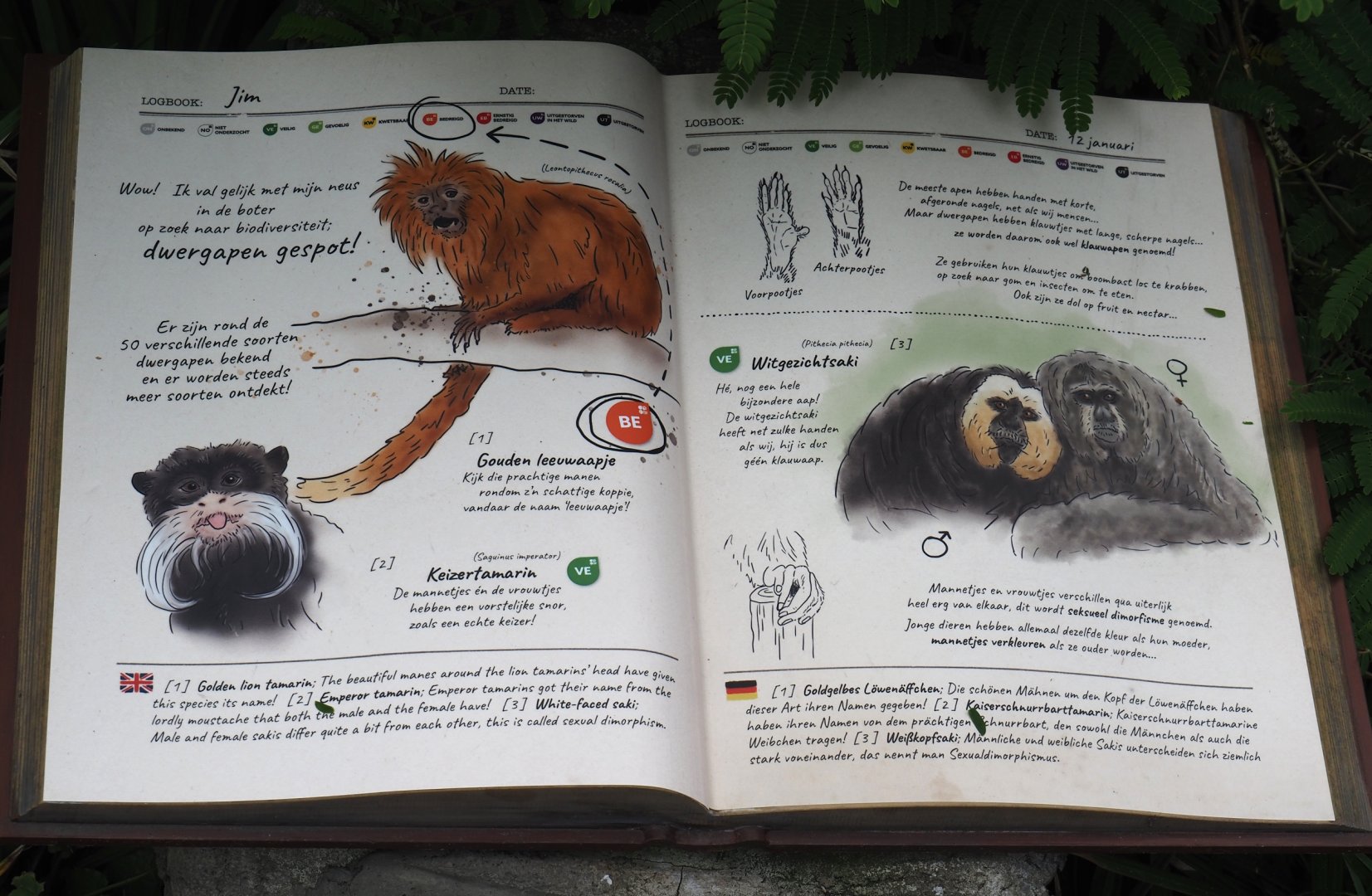 Monkey Ruins exhibit - Signage for South American monkeys, 2024-06-23