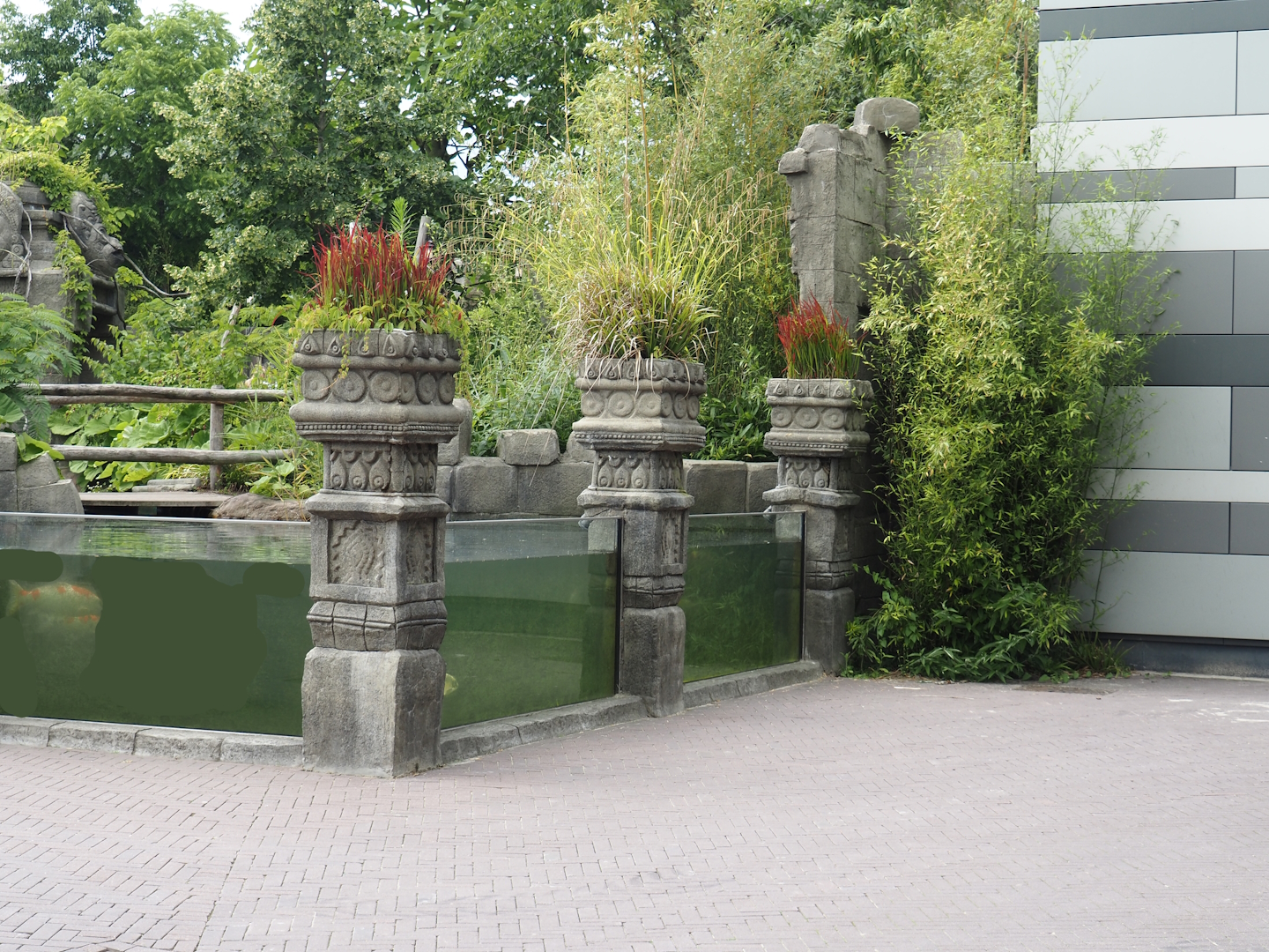 Monkey Ruins exhibit with at the koi (now sturgeons) in the moat, 2024-06-23