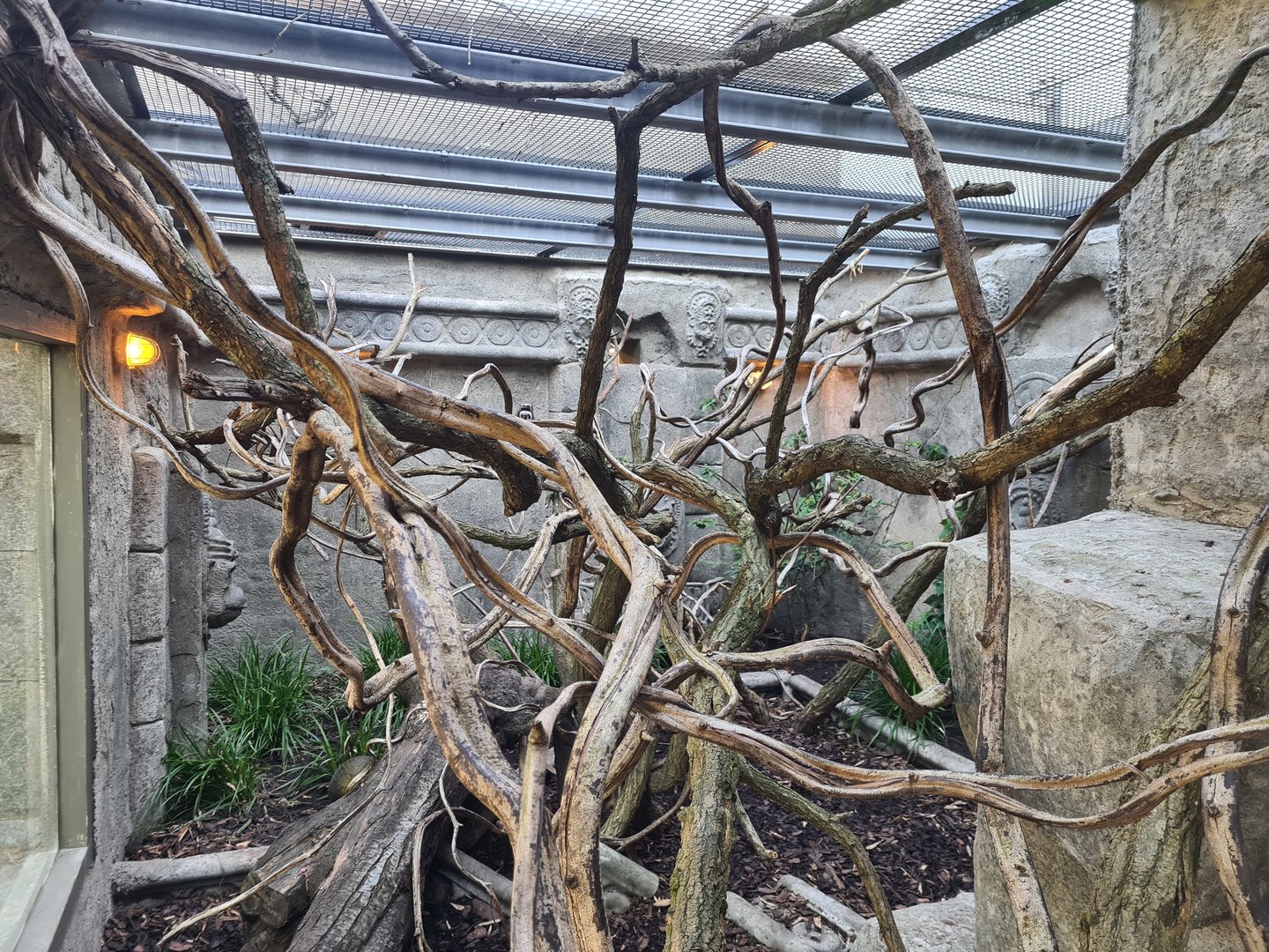 Monkey ruins indoor holding