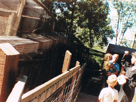 Monkey runs at Combe Martin 1989