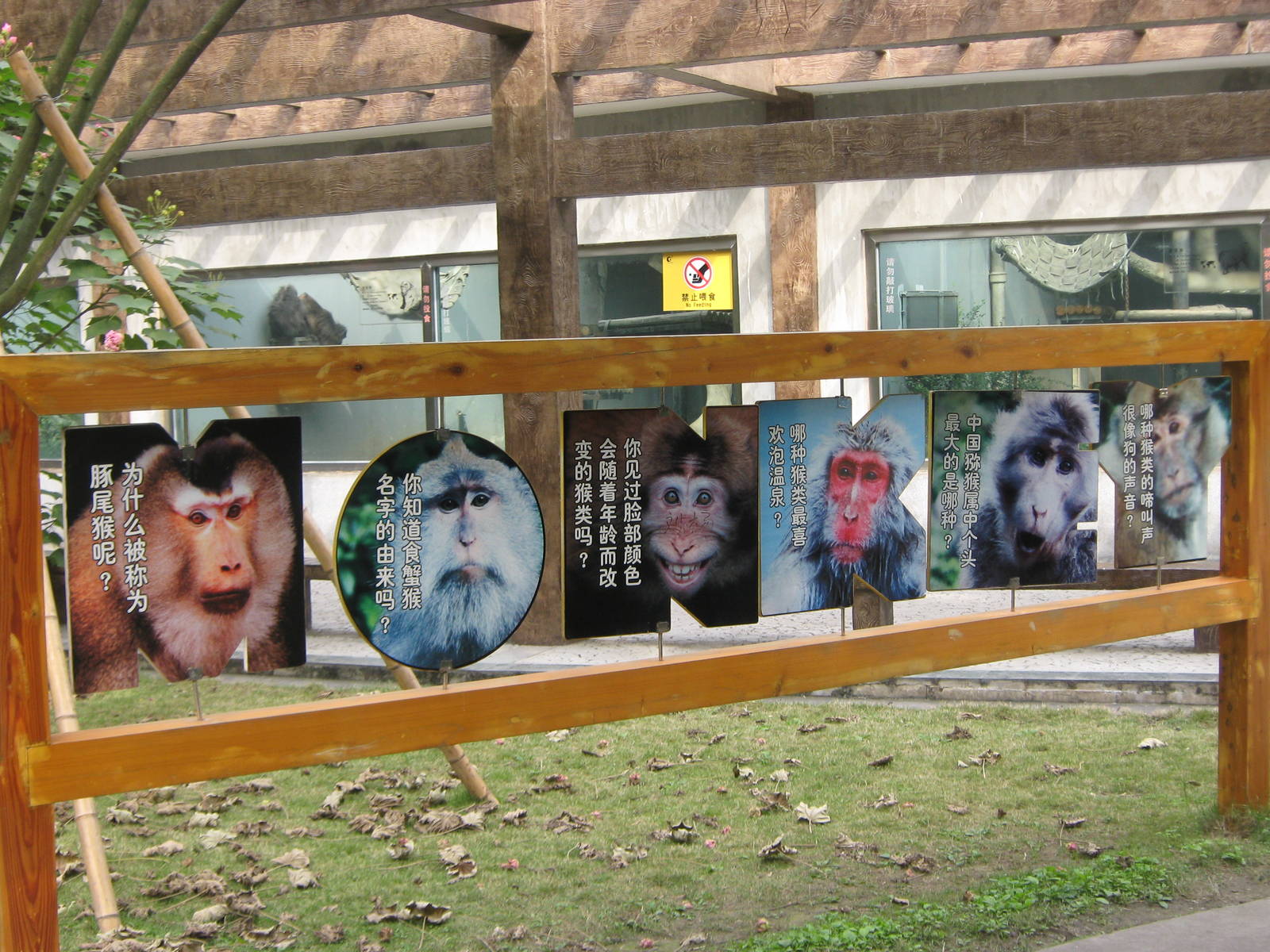 monkey sign by the macaque cages