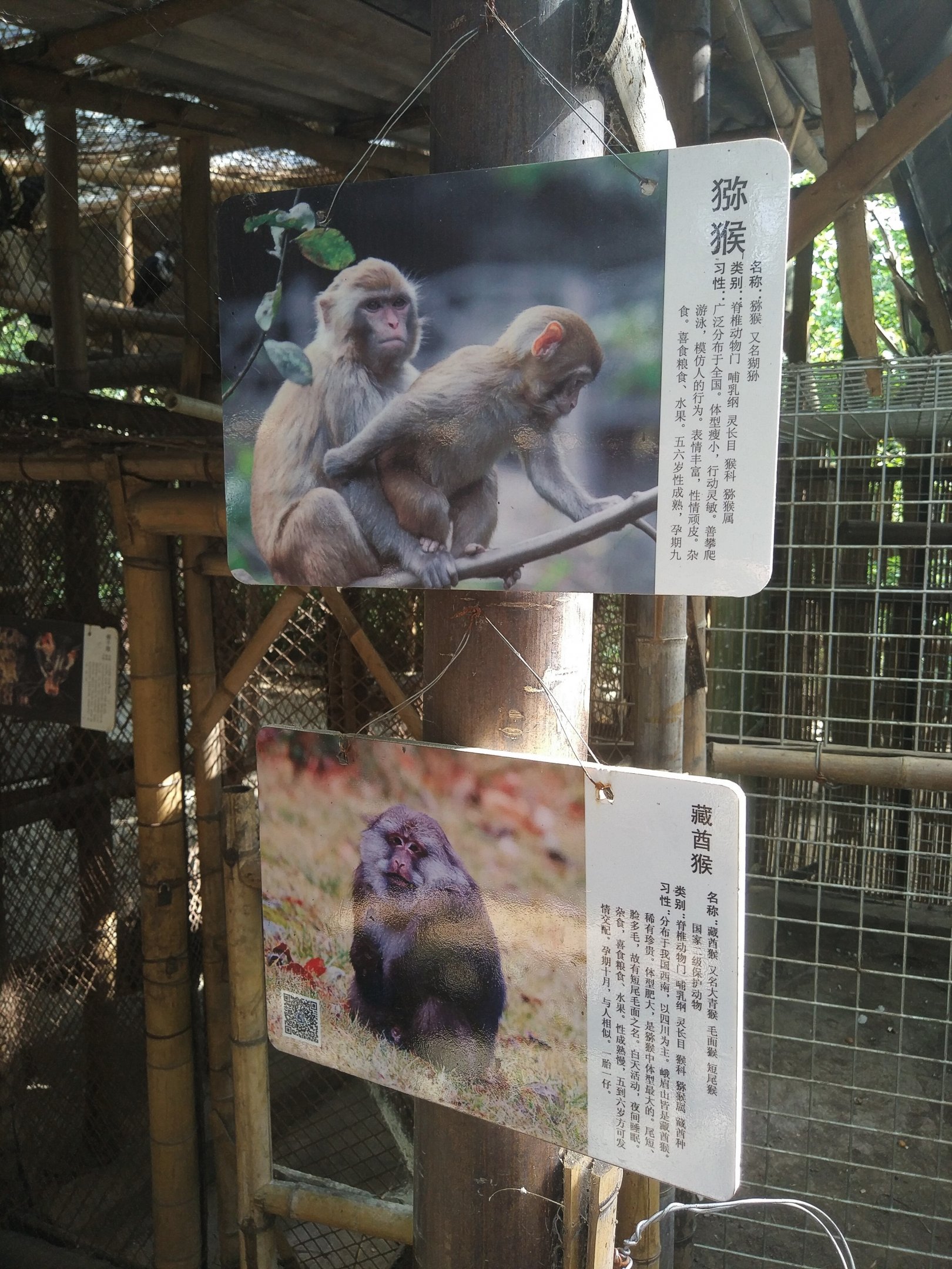 Monkey Signage