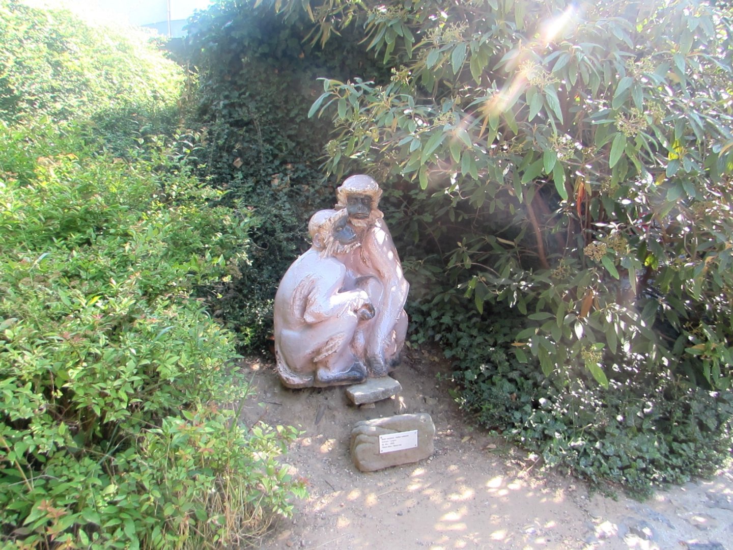 Monkey Statue - July/2017