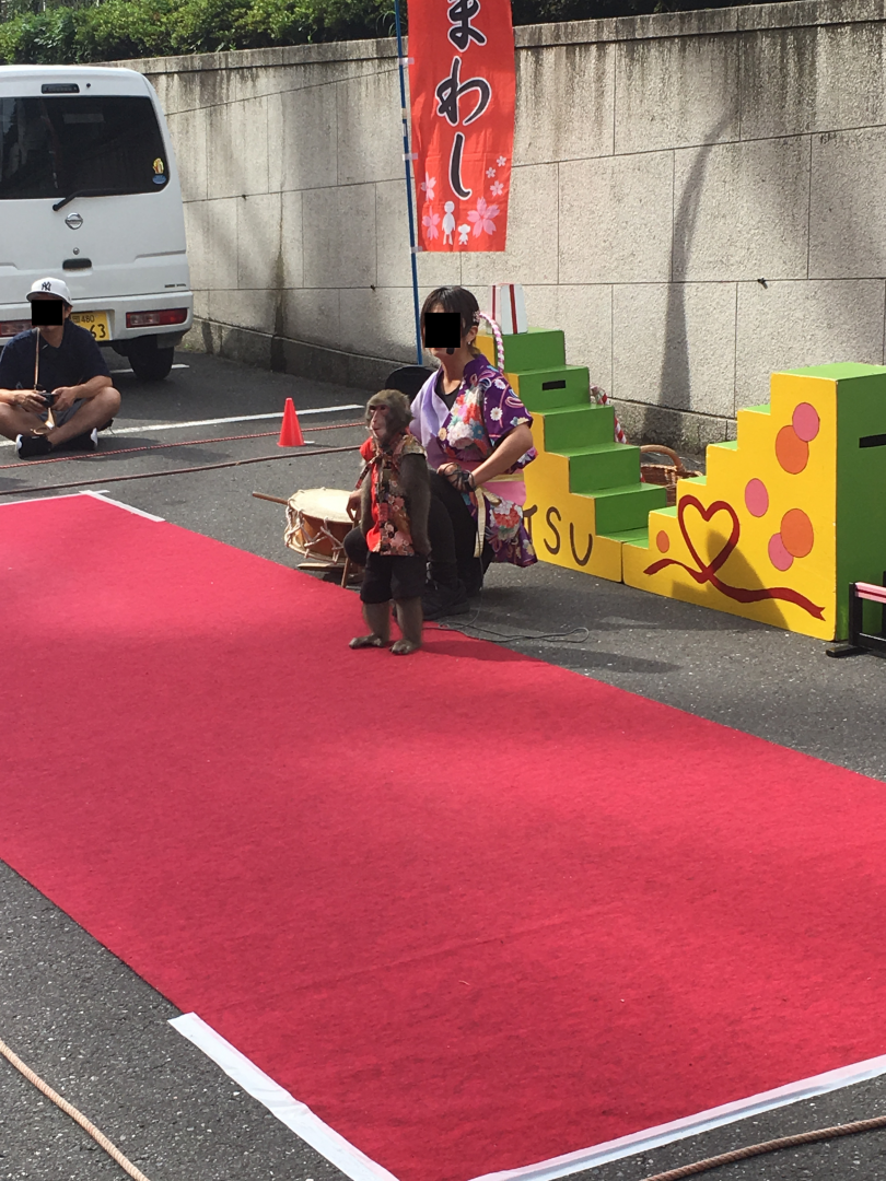 Monkey streetperformer