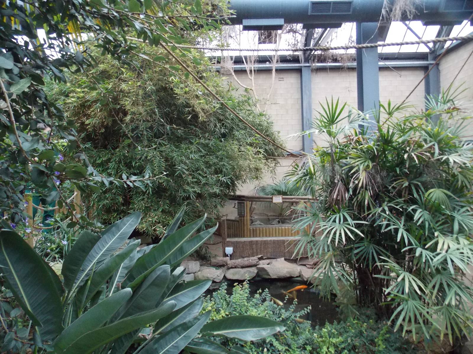 Monkey Tails building