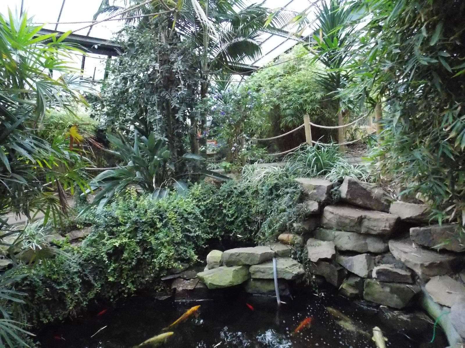 Monkey Tails building