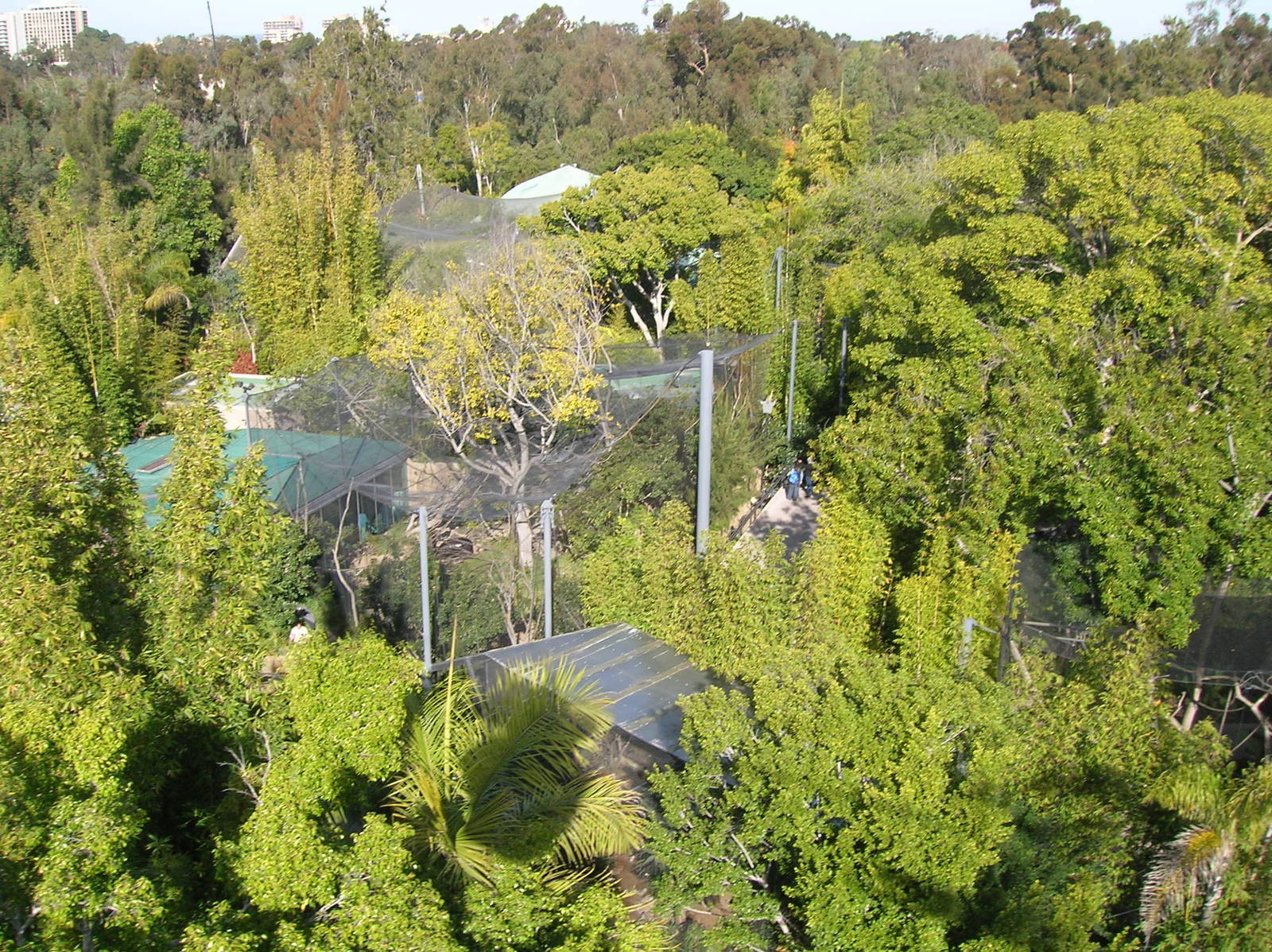 Monkey Trails Aerial 1-6-09