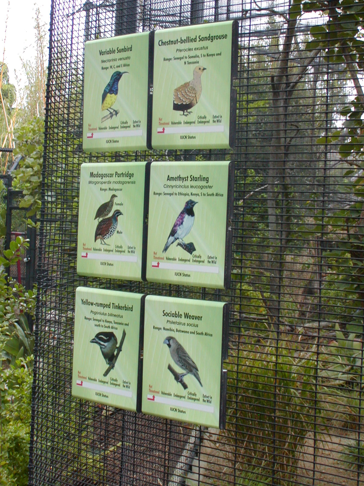 Monkey Trails and Forest Tales - Signage