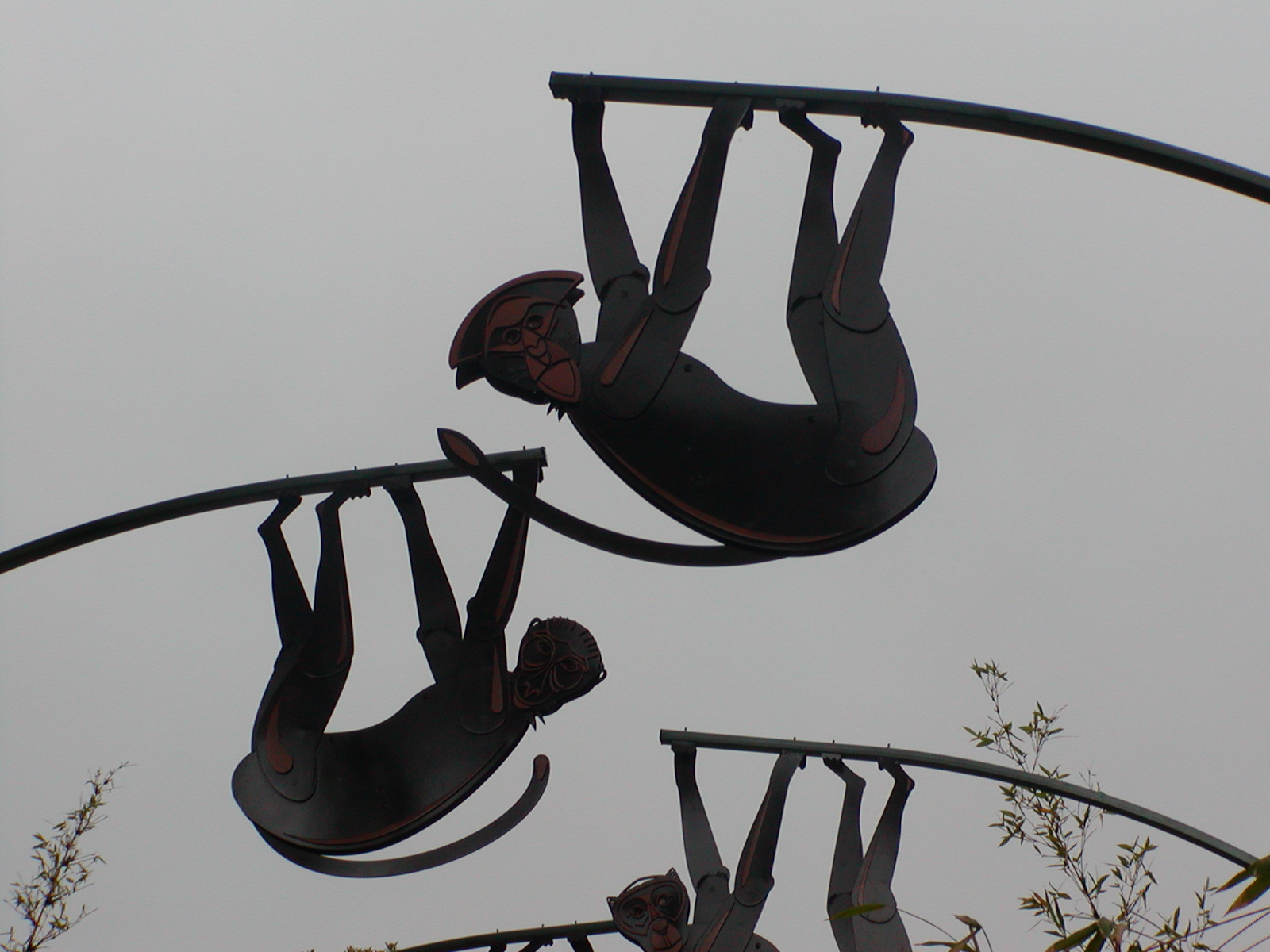 Monkey Trails and Forest Tales