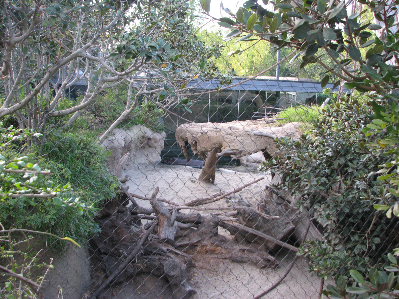 Monkey Trails - Pygmy Hippo and Wolf's Guenon Exhibit