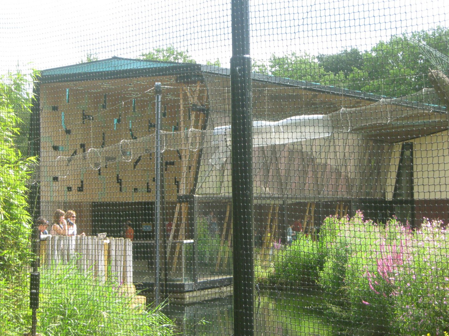 Monkey Transfer Tunnel