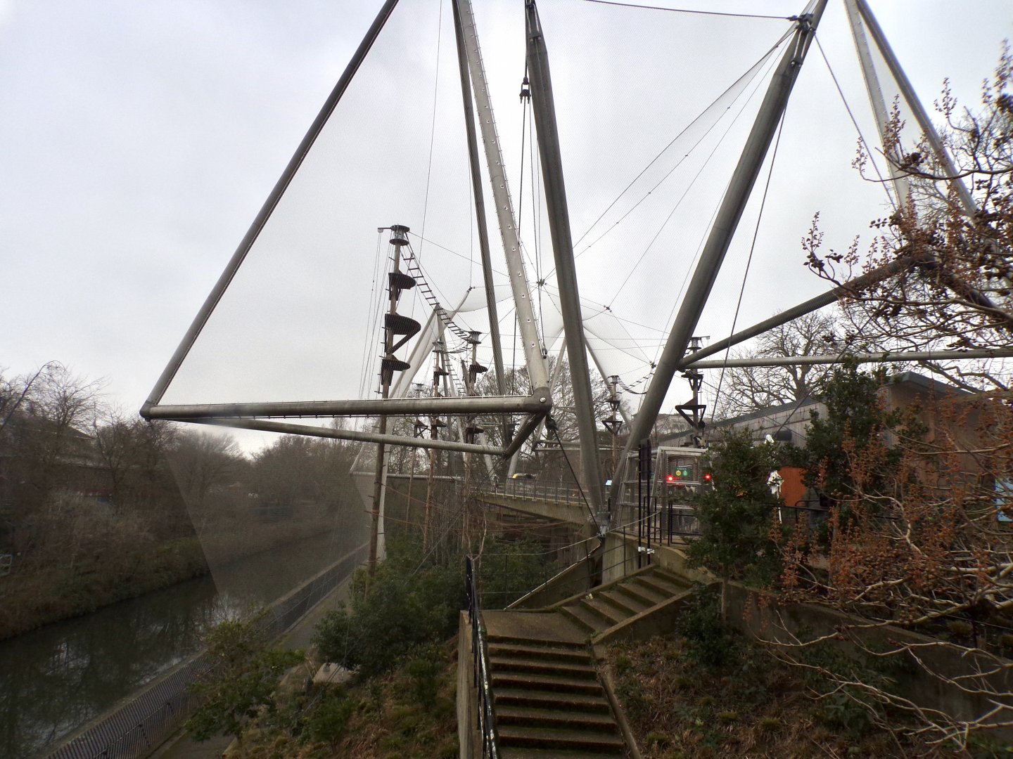 Monkey valley 11.2.25