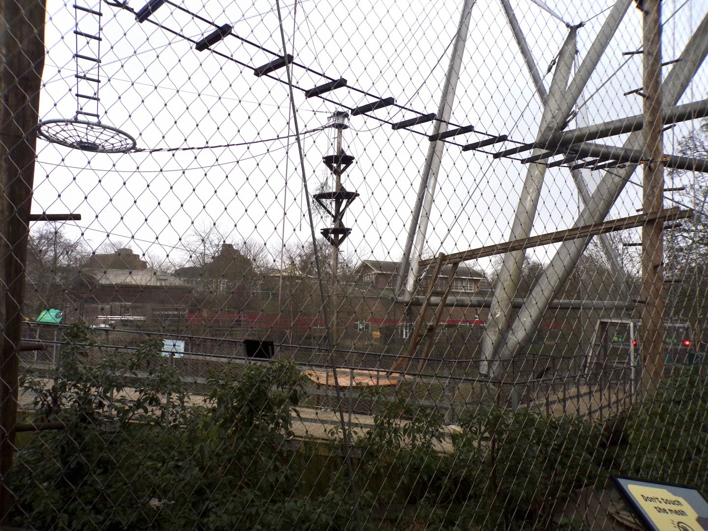 Monkey valley 11.2.25