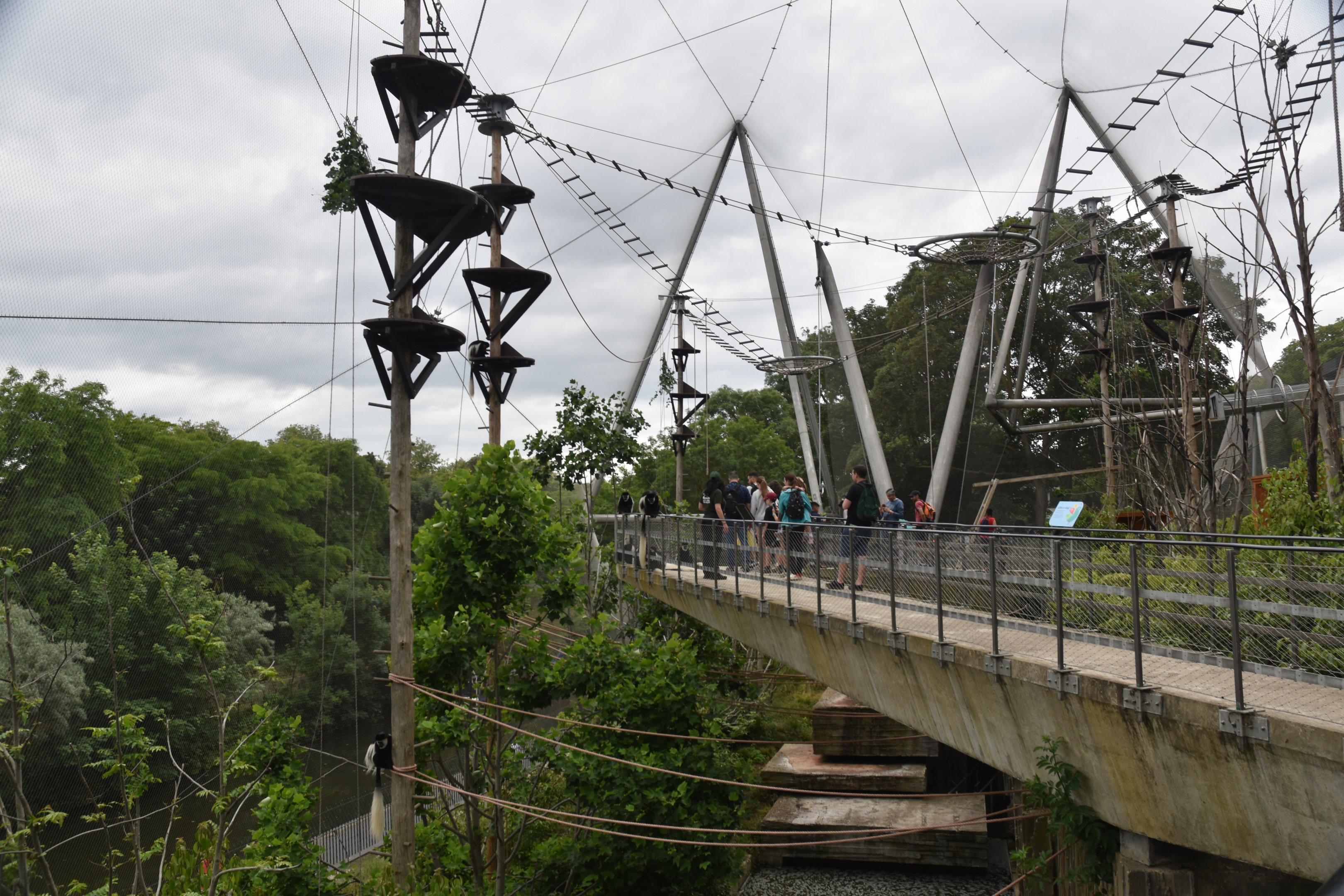 Monkey Valley (Snowdon Aviary) at London, 22nd June 2024
