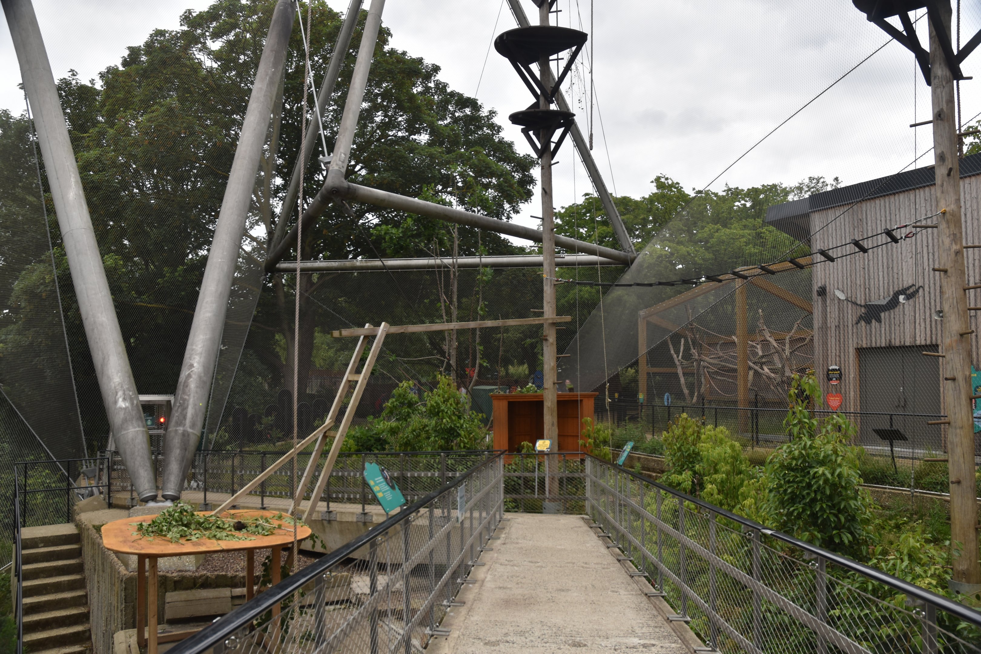 Monkey Valley (Snowdon Aviary) at London, 22nd June 2024