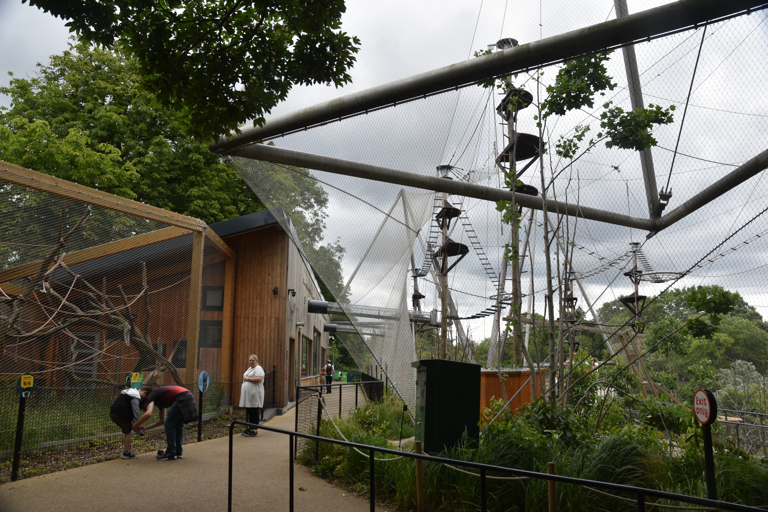 Monkey Valley (Snowdon Aviary) at London, 22nd June 2024