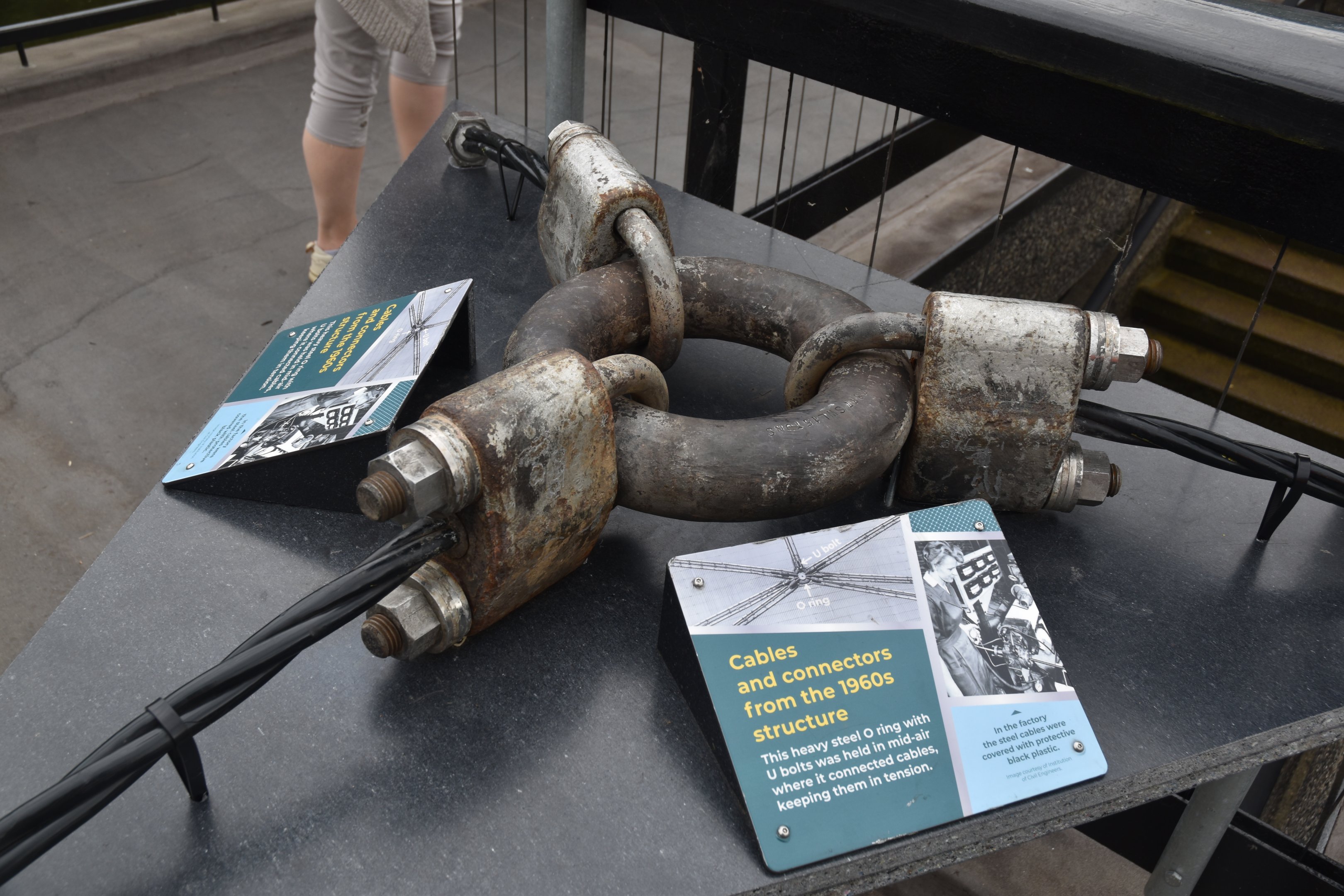 Monkey Valley (Snowdon Aviary) Interpretation at London, 22nd June 2024