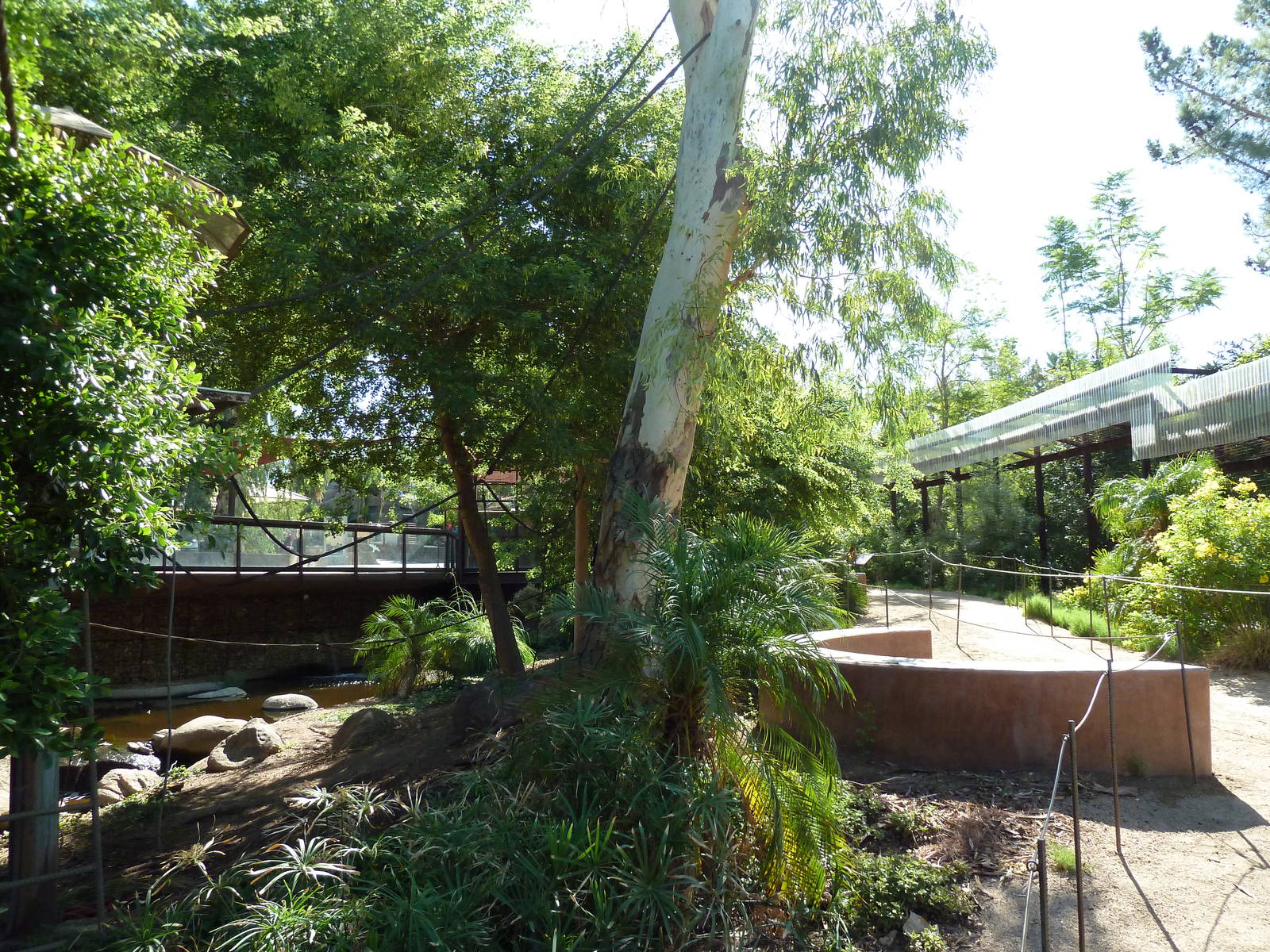 Monkey Village - Walk-Through Squirrel Monkey Exhibit