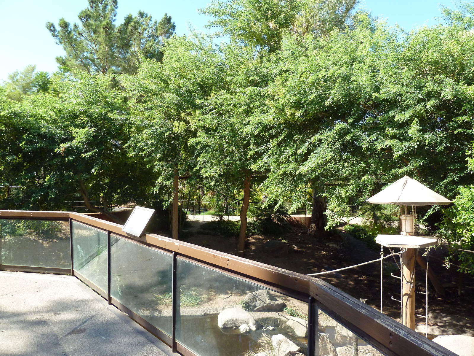 Monkey Village - Walk-Through Squirrel Monkey Exhibit