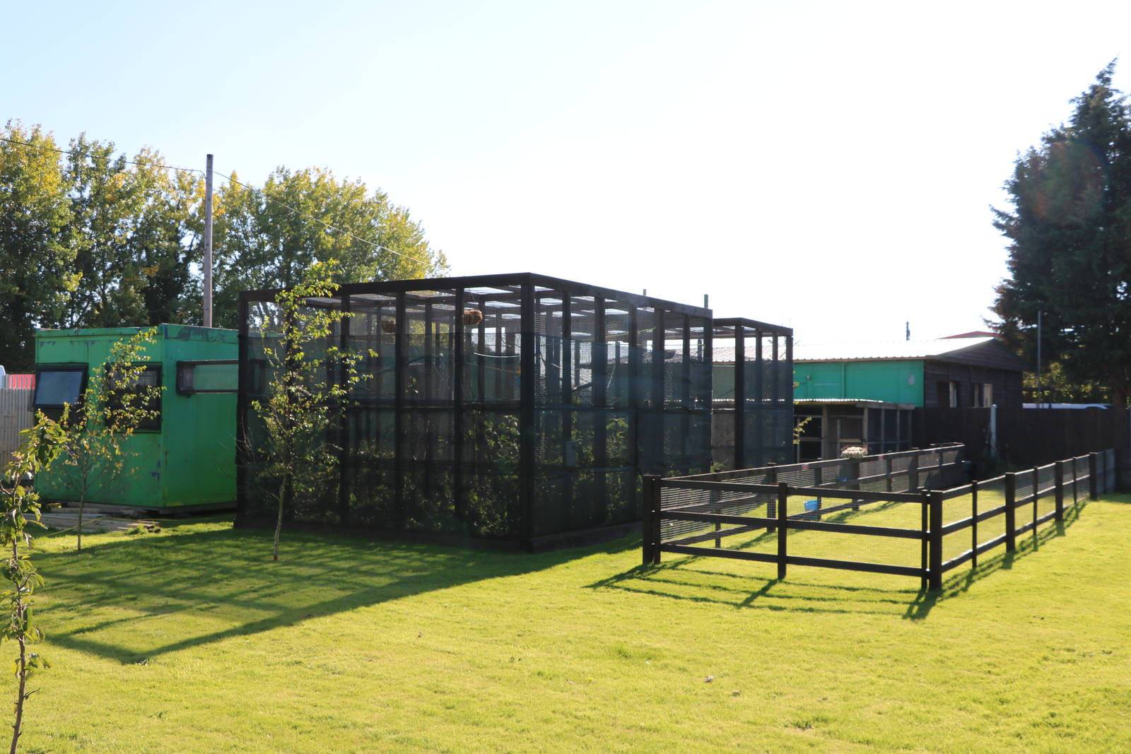 Monkey walk - Fen Bell Inn, October 2015