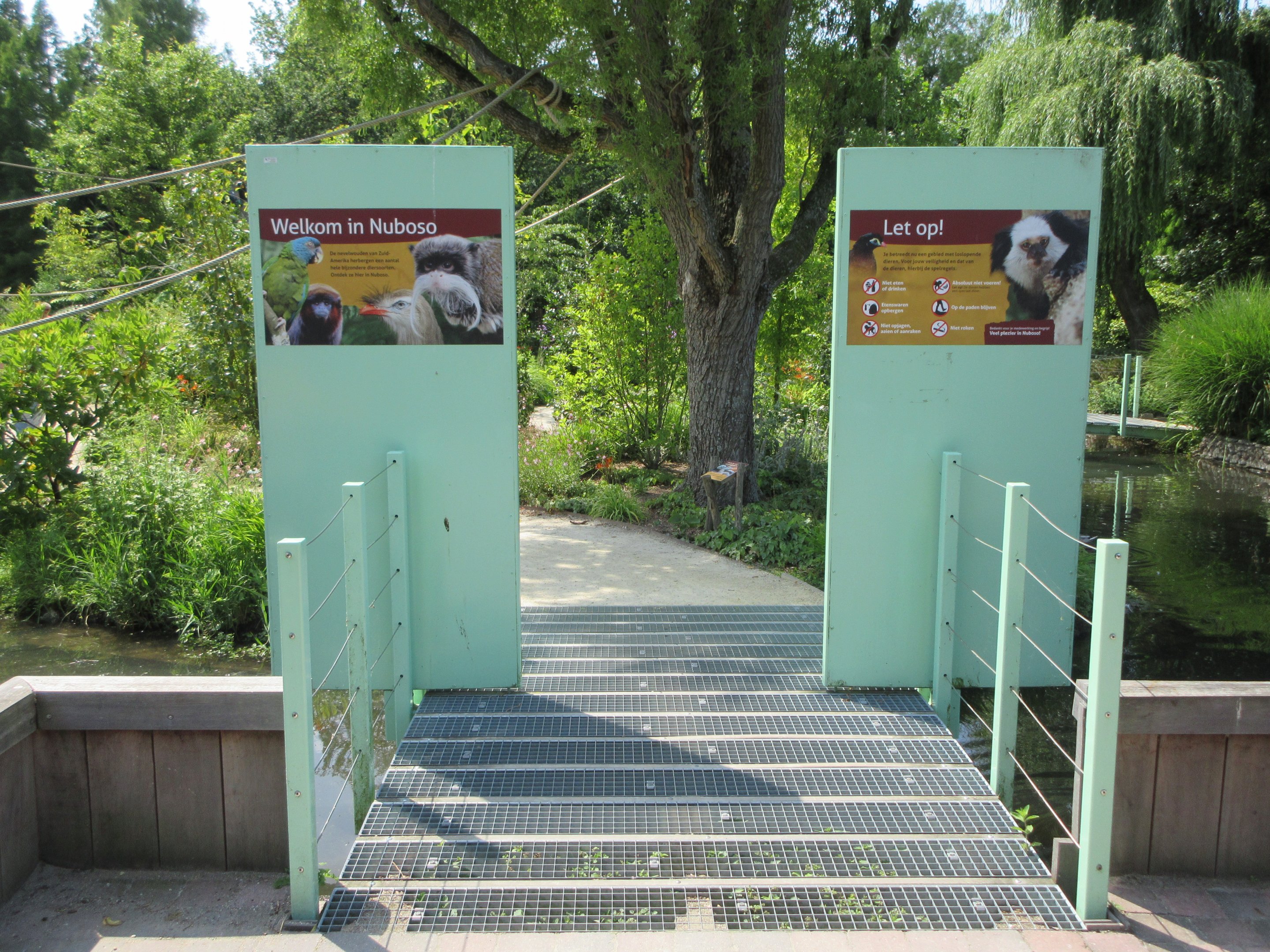 Monkey Walk-through Area