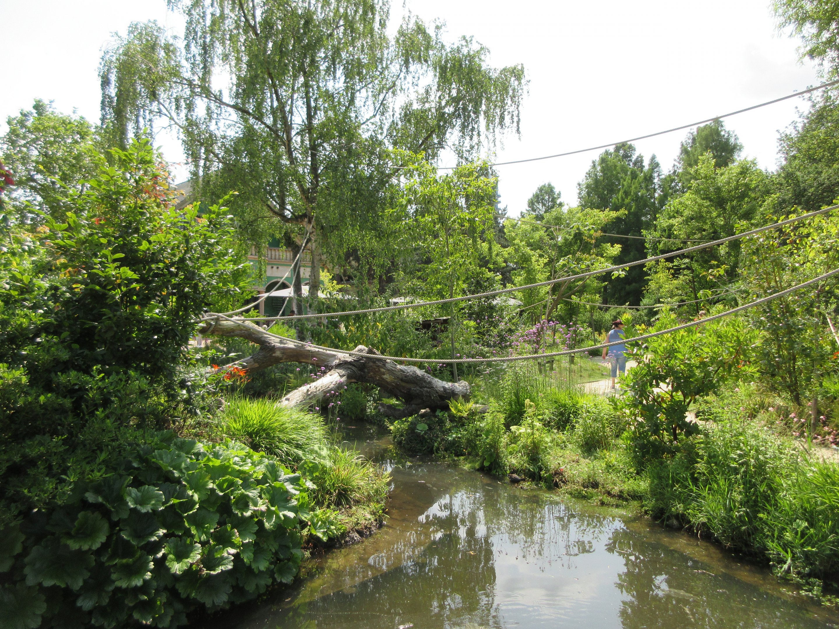 Monkey Walk-through Area