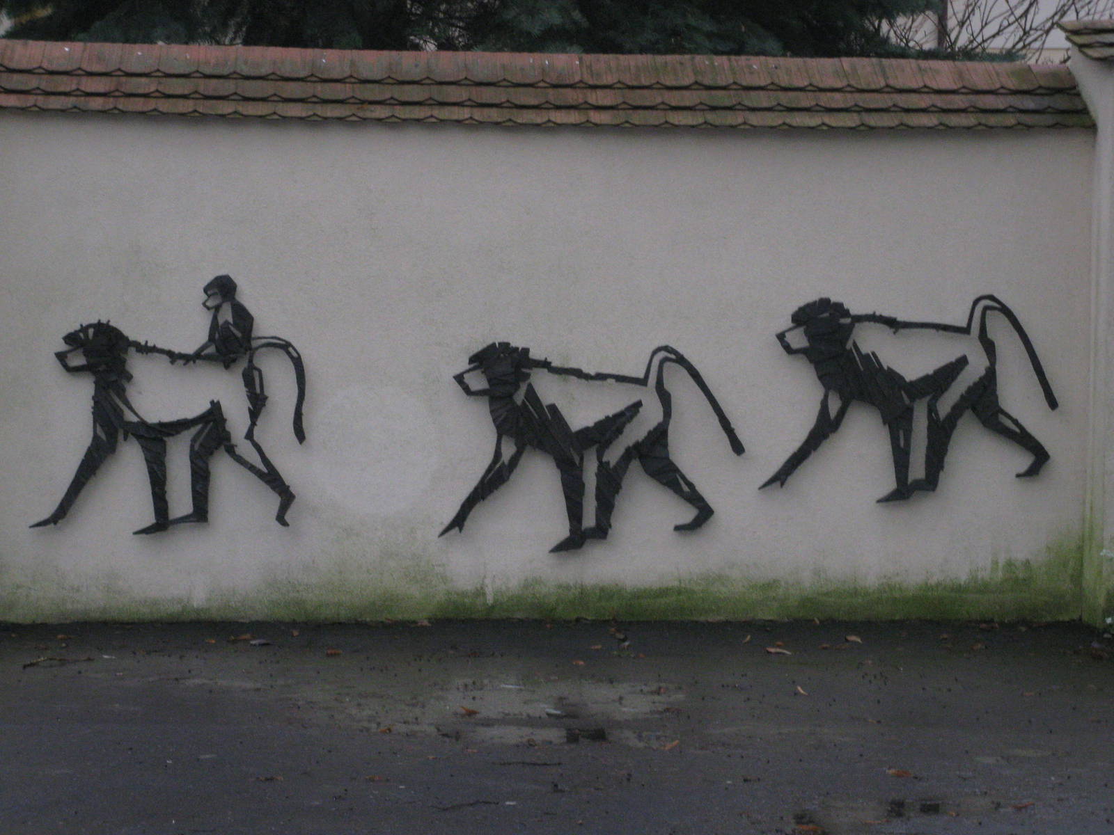 Monkey Wall
