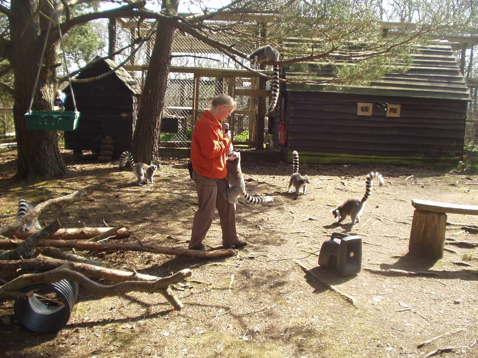 Monkey World 2nd April 2012