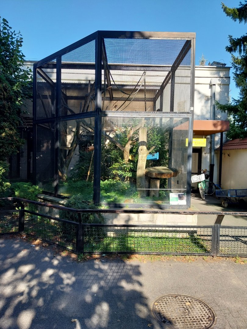 Monkeyhouse - Common Squirrel monkey